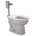 Zurn - Z5656.301.00.00.00 - Zurn One One Piece Bedpan Flushometer Toilet  1.28 Gallons per Flush  White - B00DARVSJ2